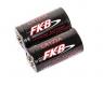 CR123A 3v Lithium Battery Ricaricabili by Fkb